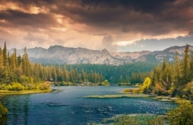 neture