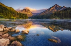 neture